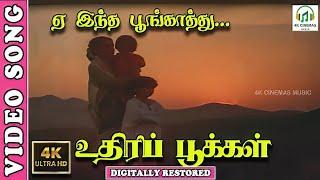 Yae Intha Poongathu 4K Video Song | Uthiripookkal Tamil Movie | Gangai Amaran,Ilaiyaraja | Mahendran