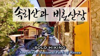 속리산에서 하룻밤 - Solo Hiking in Korea, The Most Beautiful Mountain Cabin