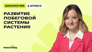 Развитие побеговой системы растения | Биология 6 класс | Домашняя школа Фоксфорда