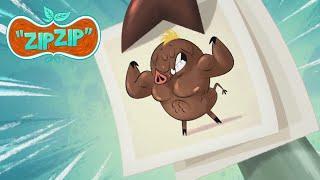Super crazy boar freshener | Zip Zip | 3 hours COMPILATION - Season 1 | Cartoon for kids