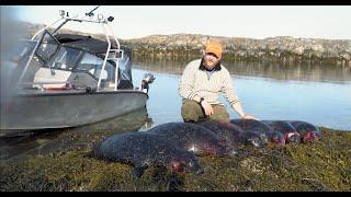 The Seal Hunter of Northern Norway