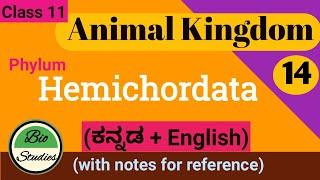 (in Kannada) Class 11 - Animal Kingdom - Part 13 - Phylum Hemichordata