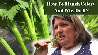 How To Blanch Celery  |  Is It Necessary?