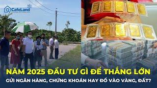 NĂM 2025 ĐẦU TƯ GÌ để thắng lớn: Gửi ngân hàng, chứng khoán hay đổ vào vàng, đất? | CafeLand