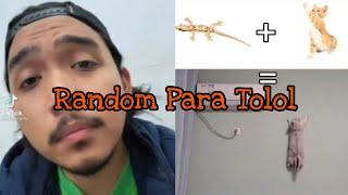 ASUPAN RANDOM PARA TOLOL TERBARU, ASUPAN MEME RECEH TERBARU, VIDEO LUCU BIKIN NGAKAK TERBARU