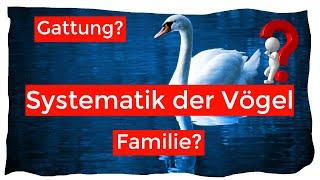 Systematik der Vögel einfach erklärt