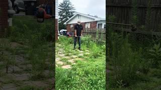 Transforming SUPER OVERGROWN Landscaping #oddlysatisfying #asmr