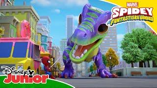  Gob-zilla | Spidey och hans fantastiska vänner | Disney Junior Sverige