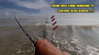 Spot Tergila..!!! Tidak Ada Ikan Kecil Disini !