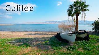 Sea of Galilee. The Lake of Jesus. A Tranquil Stroll Along the Shore.