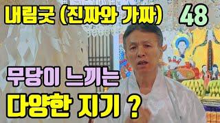 무당이 느끼는 지기들 ? (몸이 아픈 지기. 마음이 아픈지기 ! 몸으로 느끼는 다양한 느낌 !)