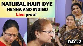 Natural Hair Dye Henna And Indigo Live | Patnam Lo Palleturu | Henna And Indigo | Live result