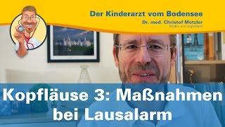 Kopfläuse 3: Maßnahmen bei Lausalarm - Der Kinderarzt vom Bodensee