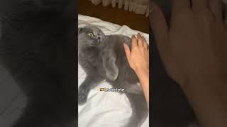 Как сказать по-испански? #испанскийязык #испания #жизньвиспании #переездвиспанию #визависпанию
