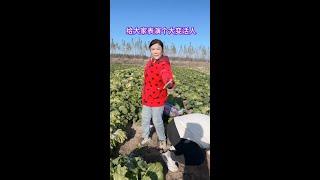 #Fast growth plan #The future star of movie painting display #The happy life of Qingjie
