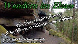 Höhlen und Felsen Pfad | Lemberg | Le Sentier des Grottes de Lemberg | Elsass | Nordvogesen | FR