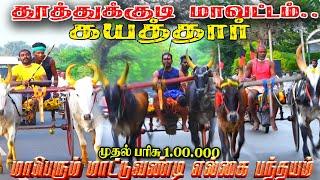 தூத்துக்குடி மாவட்டம் கயத்தார் 1 லட்சம்  மாபெரும் மாட்டுவண்டி குதிரைவண்டி பந்தயம் 16/10/2024