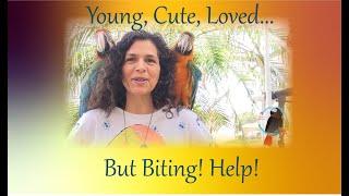 How To Handle A Young Biting Parrot #biting_parrot #Parrot_Bliss