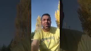 What is Coach Effect and how do u use it?