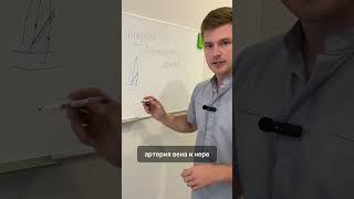 #онемениерук # причины#скаленуссиндром