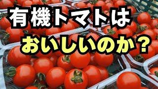 【有機栽培のトマト】美味しいのか？「慣行農法農家が解説」