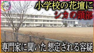 小学校の花壇から『シカの頭』…事件の場合に想定される3つの容疑 犯罪心理の専門家は「計画性」を指摘