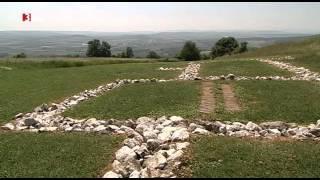 "Von wilden Tieren, Mooren und Ruinen": Eine Reise durch Niederösterreichs Naturparke