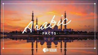 If you are interested in the Arabic language and culture, these are some facts you cannot miss!