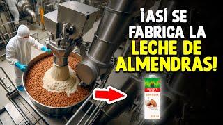 ¿Cómo Se Hace La Leche De Almendras? [Proceso En Fábrica]