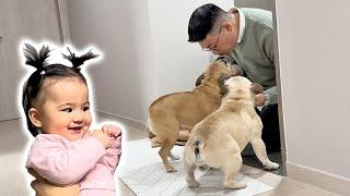 He Left  Dogs And Baby React To Dad Coming Home ** CUTEST REACTIONS