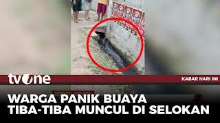 Buaya Masuk Pemukiman Lewat dalam Selokan Buat Panik Warga | Kabar Hari Ini tvOne