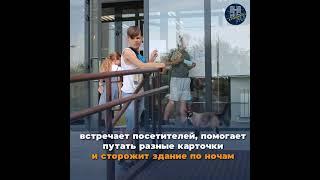 Кот библиотекарь в Калининградской области
