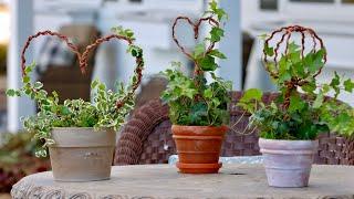 DIY Wire Topiaries for Houseplants! ️ // Garden Answer