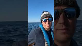 Trolling Birds & Lures | Odyssey Sea Fishing UK.