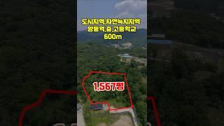 ◎전속◎양동역600m/면 생활권 교통 불편함 없이 살수있는 위치/동양평 ic 차량4분거리#양평전원주택급매물#양동면토지급매물#토지급매물#급매물#급매매
