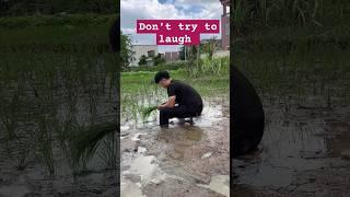 Don't try to laugh  funny video  #shorts