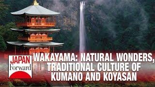 Wakayama: The World Discovers Japan’s Spiritual Heartland | JAPAN Forward