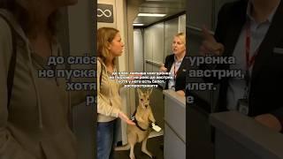 Такие авиакомпании жестокие(((  #путешествия