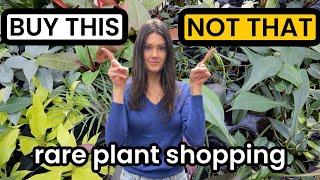 Buy THIS Not THAT - RARE PLANTS - Plants I Stay Away From & What To Get Instead - Indoor Plants