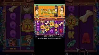 [슬롯]개집하우스 메가웨이즈 250만당첨  Pragmatic dog house megaways slot #슬슬생  #슬롯 #슬롯라이브 #슬롯머신 #슬롯생방송 #슬롯실시간