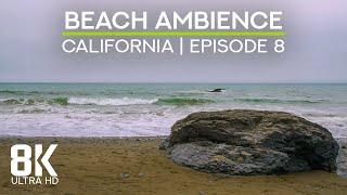 Wild Beach Soundscape of the Pacific Ocean - 8K Scenic View to Enderts Beach, California - Episode 8
