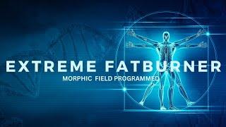 Extreme FatBurner (morphic field)