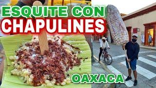 ESQUITES CON CHAPULINES EN OAXACA DE “EL CHUY”