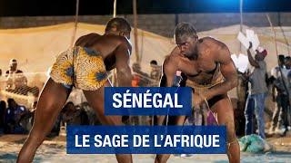 Senegal, the wise man of Africa - Dakar - Saint-Louis - Travel documentary - HD - AMP