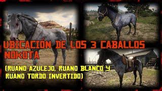 Donde localizar a los 3 caballos Nokota(Ruano azulejo, Ruano blanco y Ruano Tordo invertido) RDR2