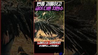 차현수 못 알아본 변종실험체 #스위트홈3 #송강