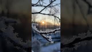 Сказка на вечер #деревня