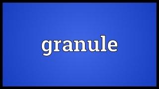 Granule Meaning