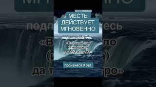 19 июня 2025 г.