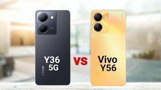 Vivo Y36 5G vs Vivo Y56